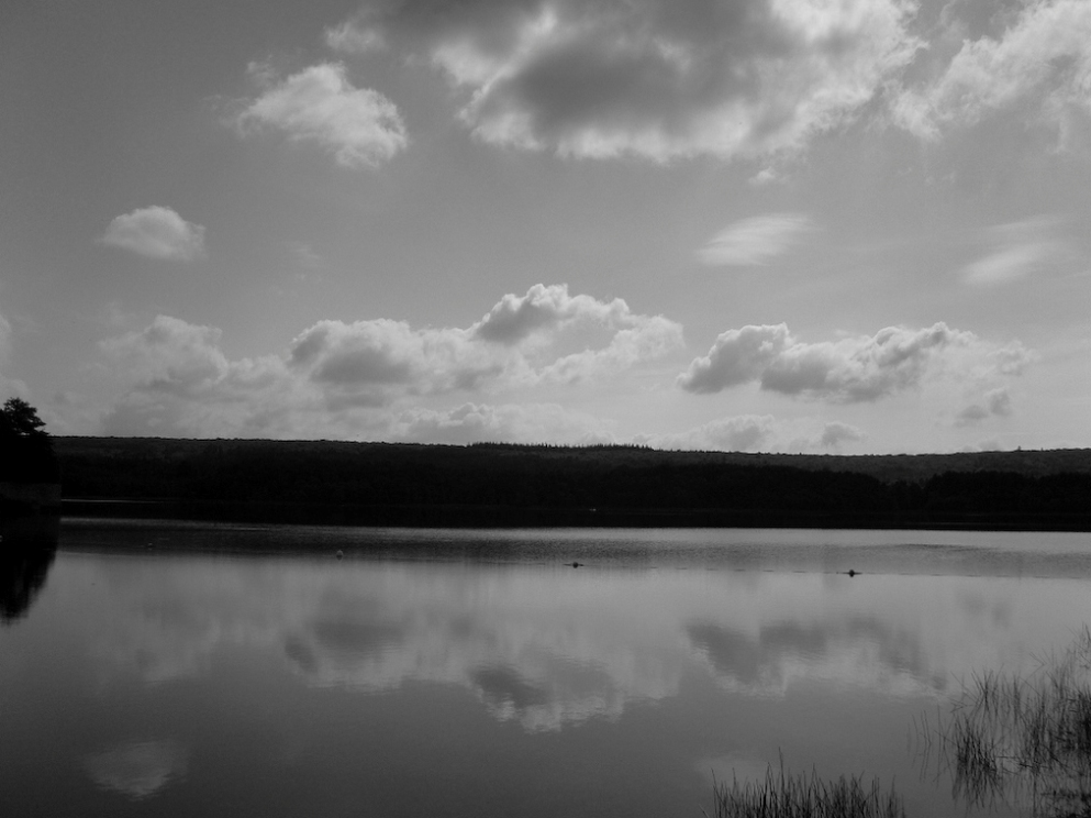 Lac de Paimpont