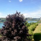 Lac de Paladru, Isère