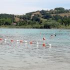 Lac de Paladru, Isère
