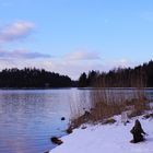 Lac de Pierre Percée au matin