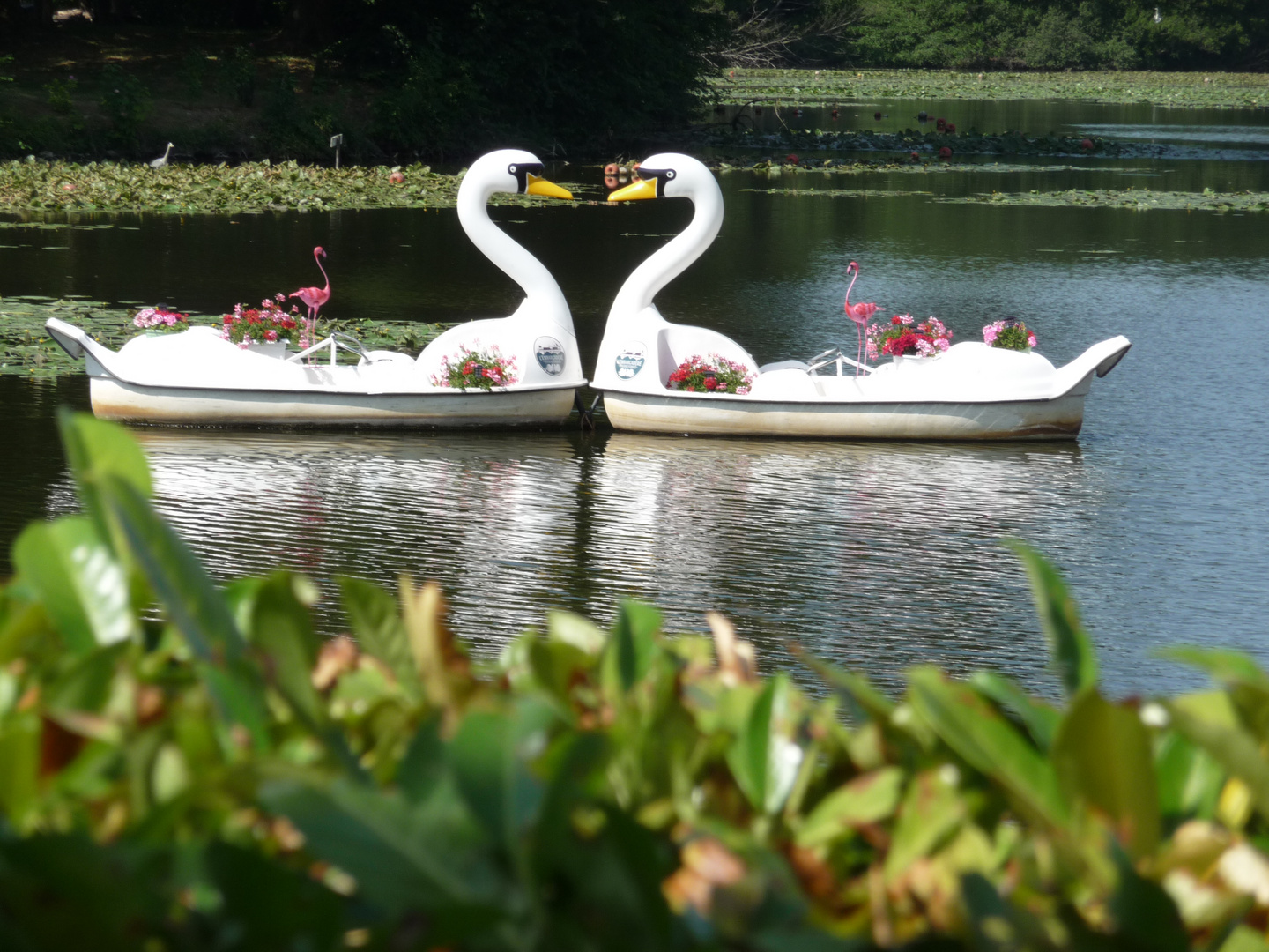 lac de Pierrefonds