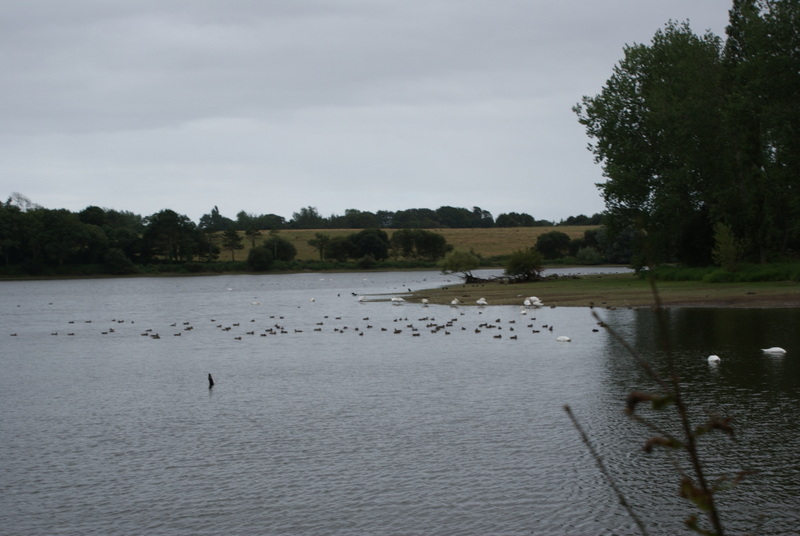 Lac de Pont-L'abbé