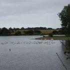 Lac de Pont-L'abbé