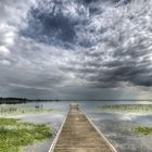 Lac de Saint Aignan de Grand lieu