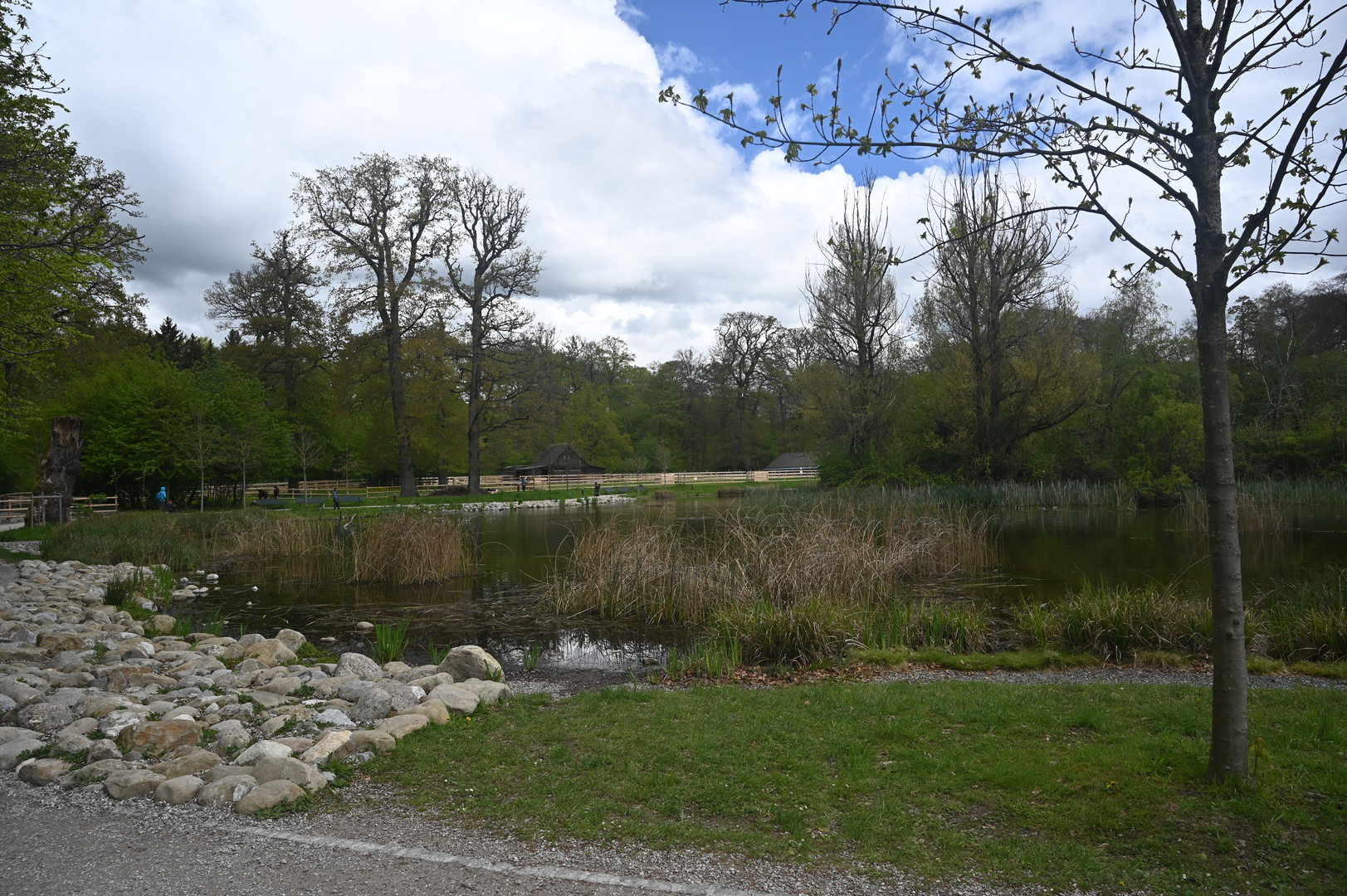 Lac de Sauvabelin, Lausanne.