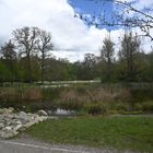 Lac de Sauvabelin, Lausanne.