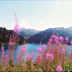 Lac de Savoie