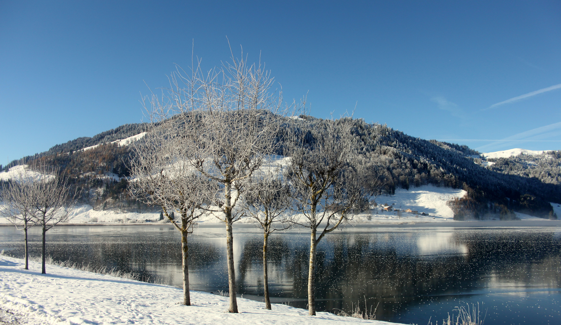 Lac de Sihl..101