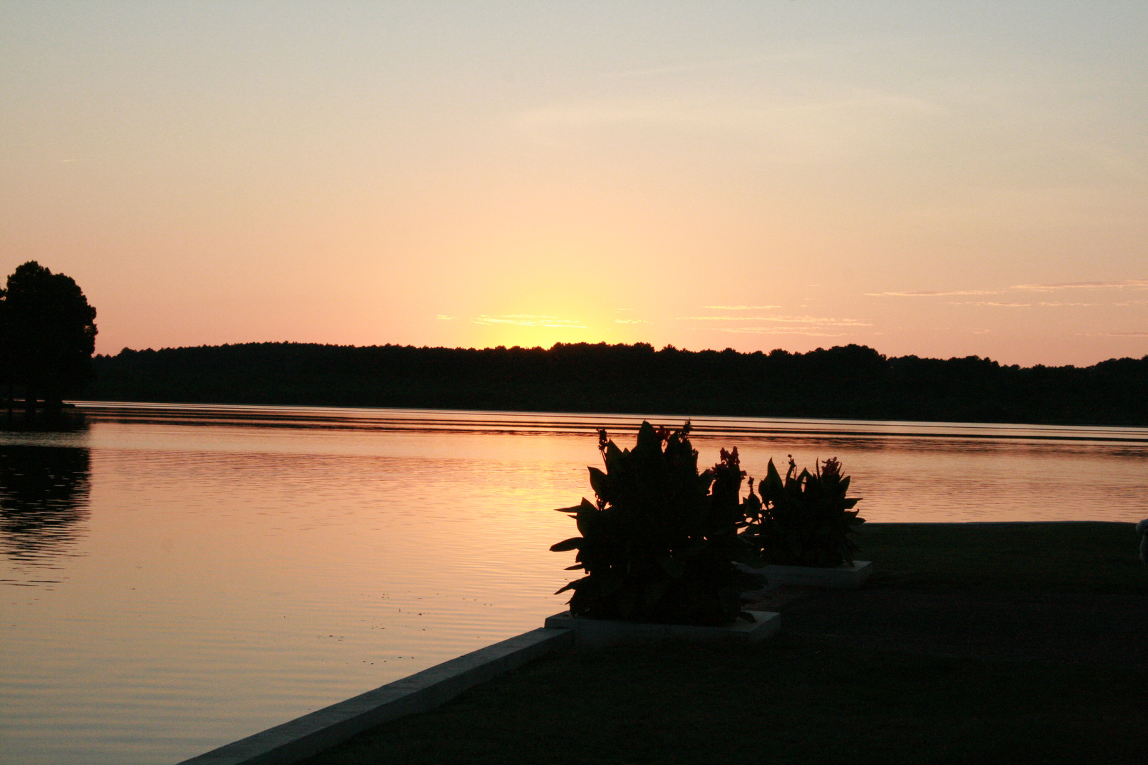 Lac de soustons (40)