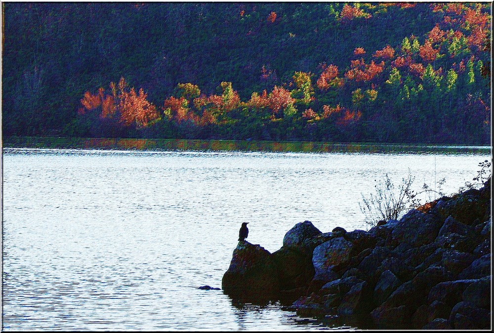 Lac de St Cassien