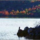 Lac de St Cassien