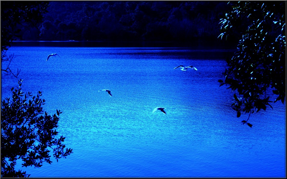 lac de St Cassien