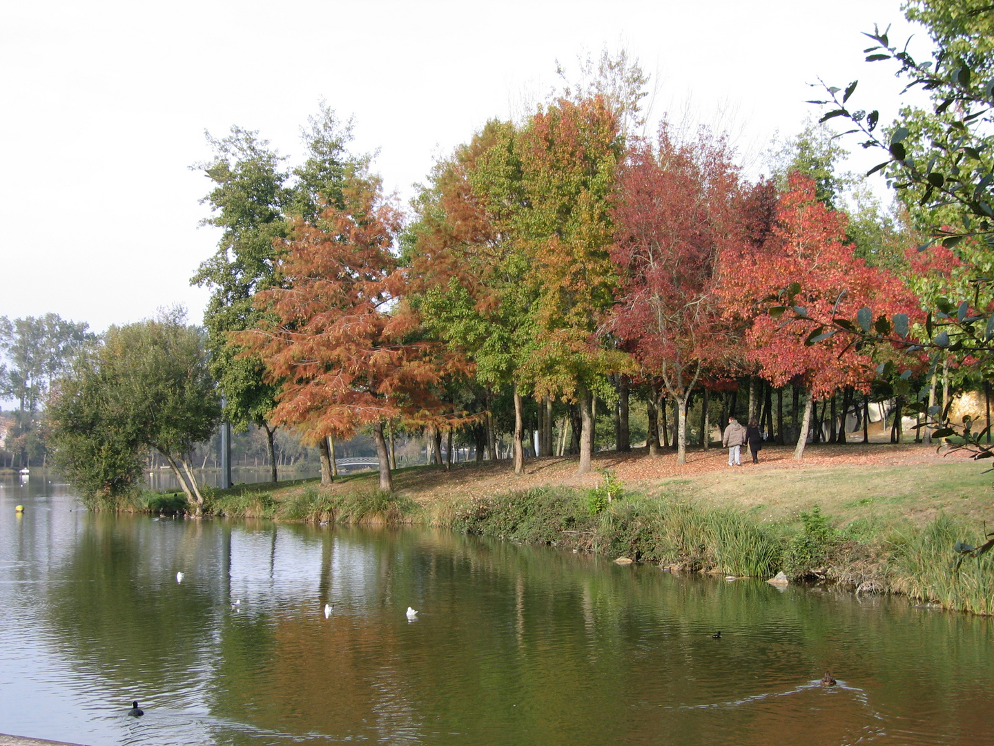 lac de St Palais sur Mer