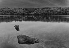 Lac de Tazenat