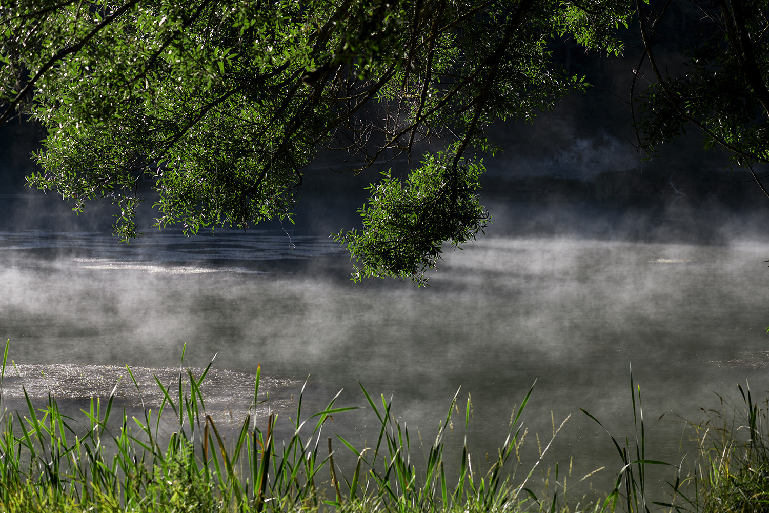 Lac de Thorenc