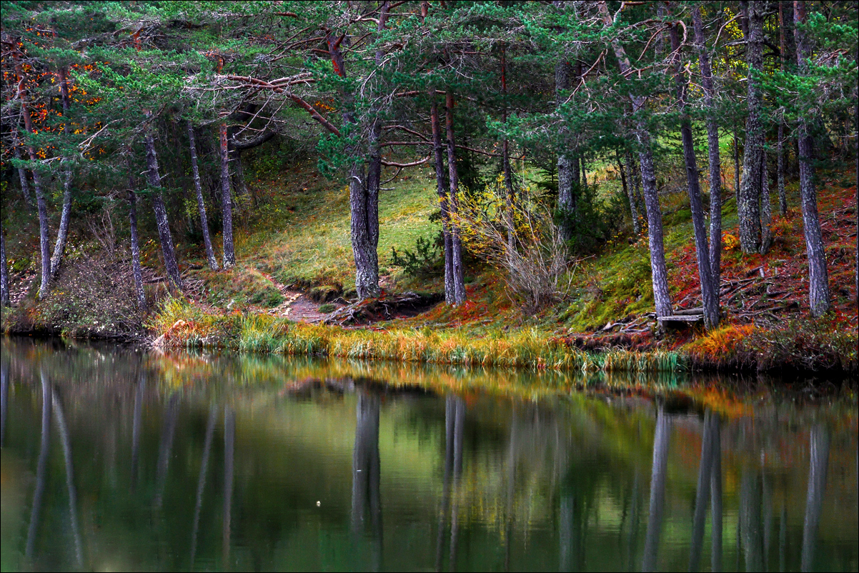 Lac de Thorenc et ses reflets