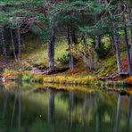 Lac de Thorenc et ses reflets