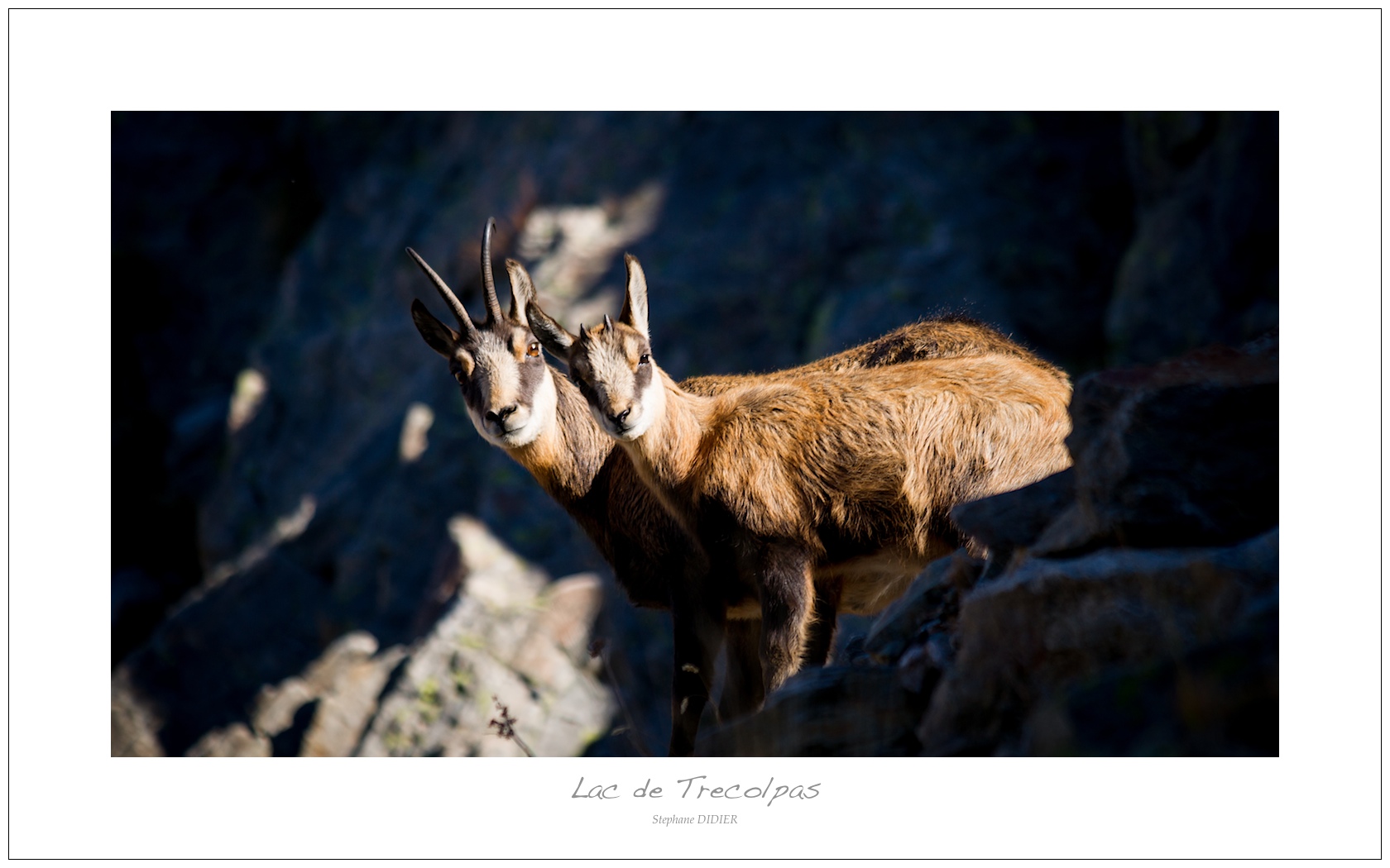 Lac de Trecolpas 2012