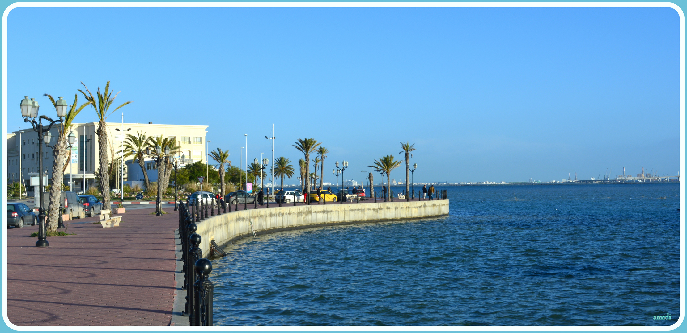 LAC DE TUNIS (2)