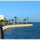 LAC DE TUNIS (2)