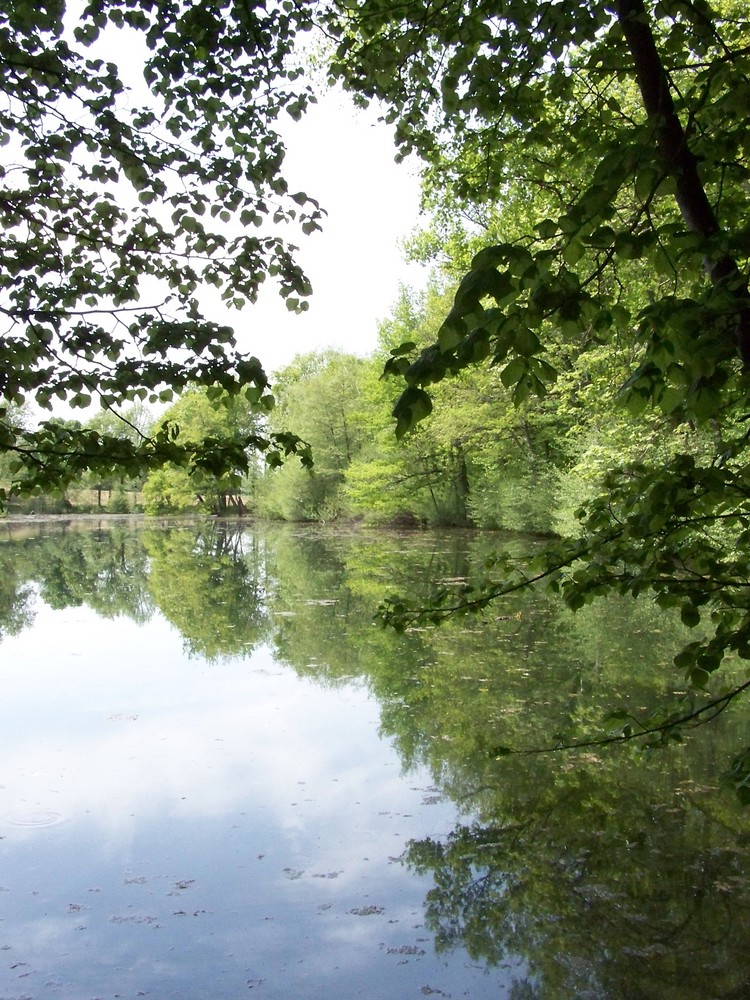 lac de valin au printemps