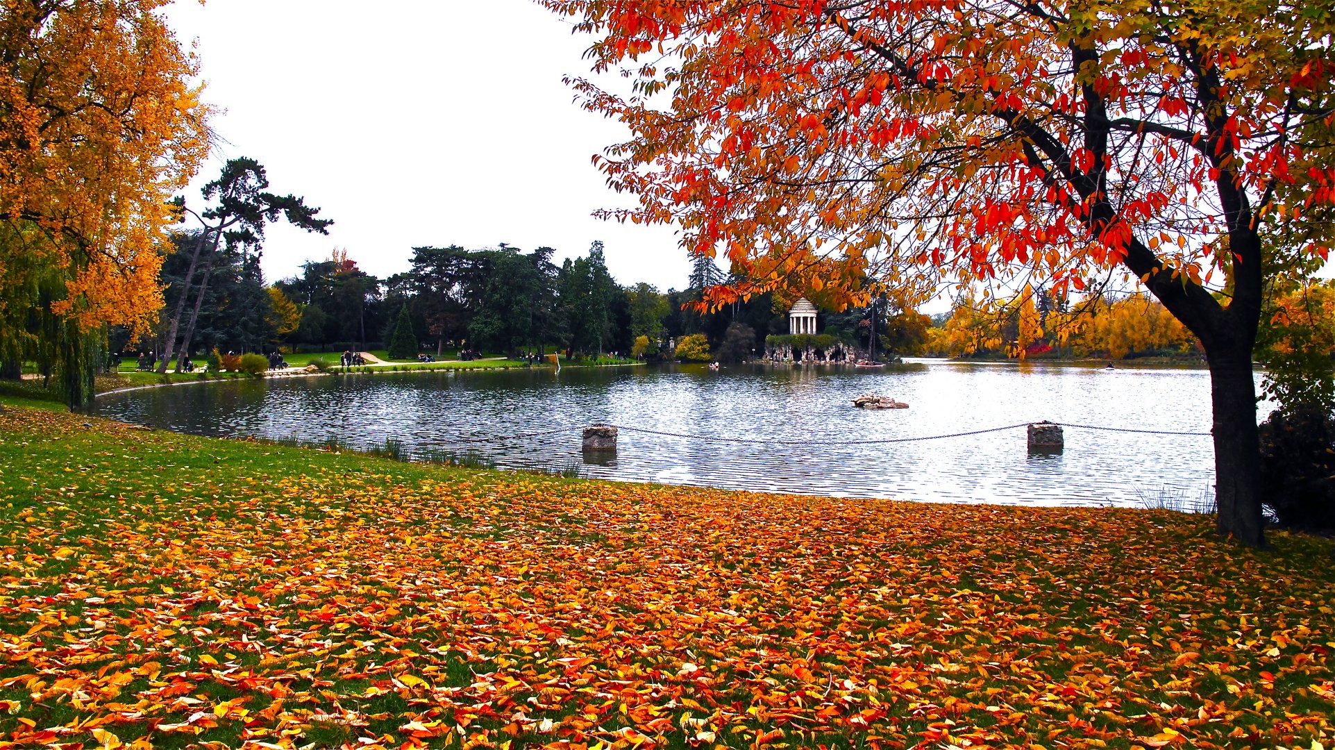 lac de vincennes Toussaint 2010