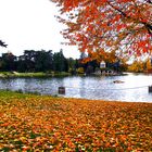 lac de vincennes Toussaint 2010