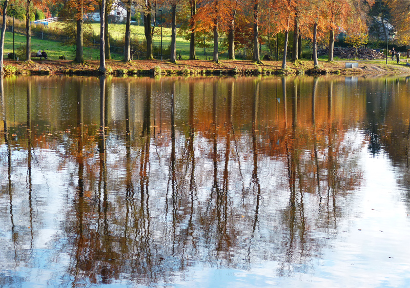 lac de Waarfaz 1