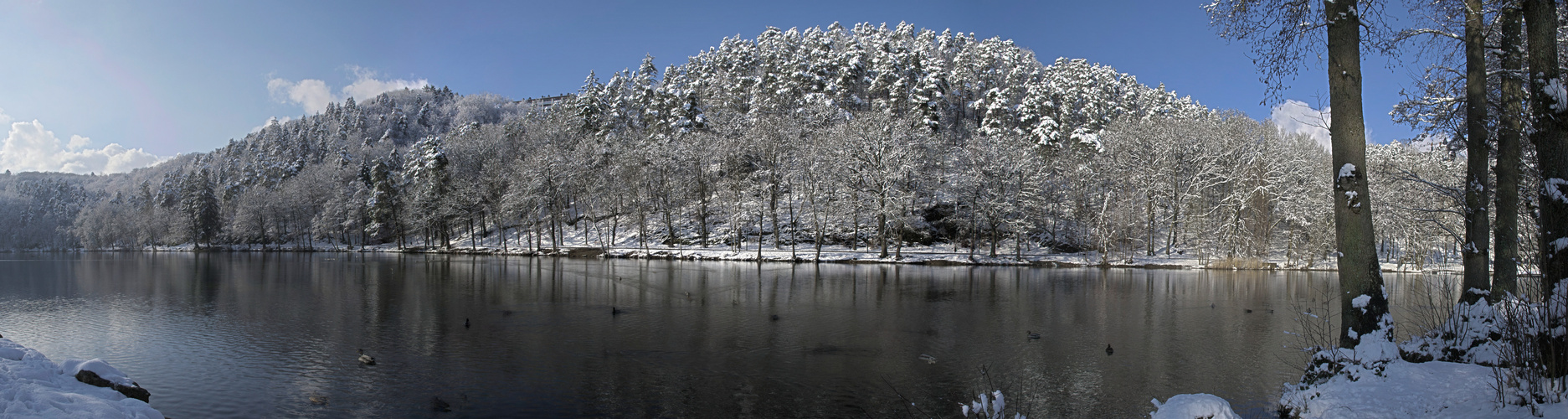 lac de Warfaaz en hiver