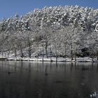 lac de Warfaaz en hiver