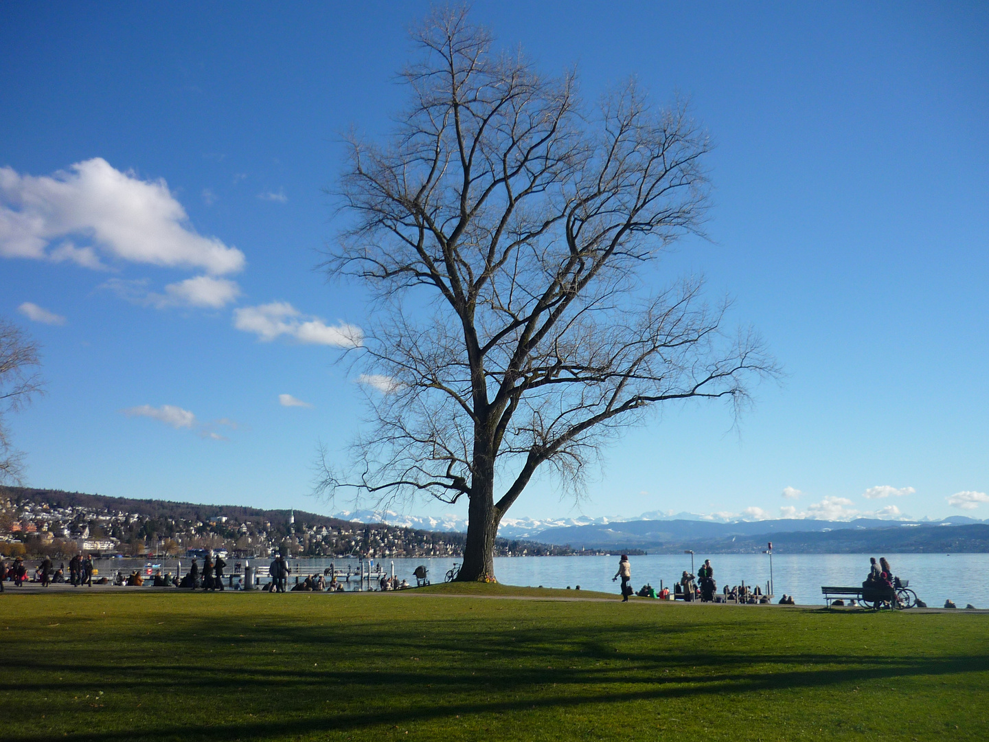 Lac de Zurich