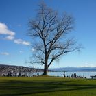 Lac de Zurich