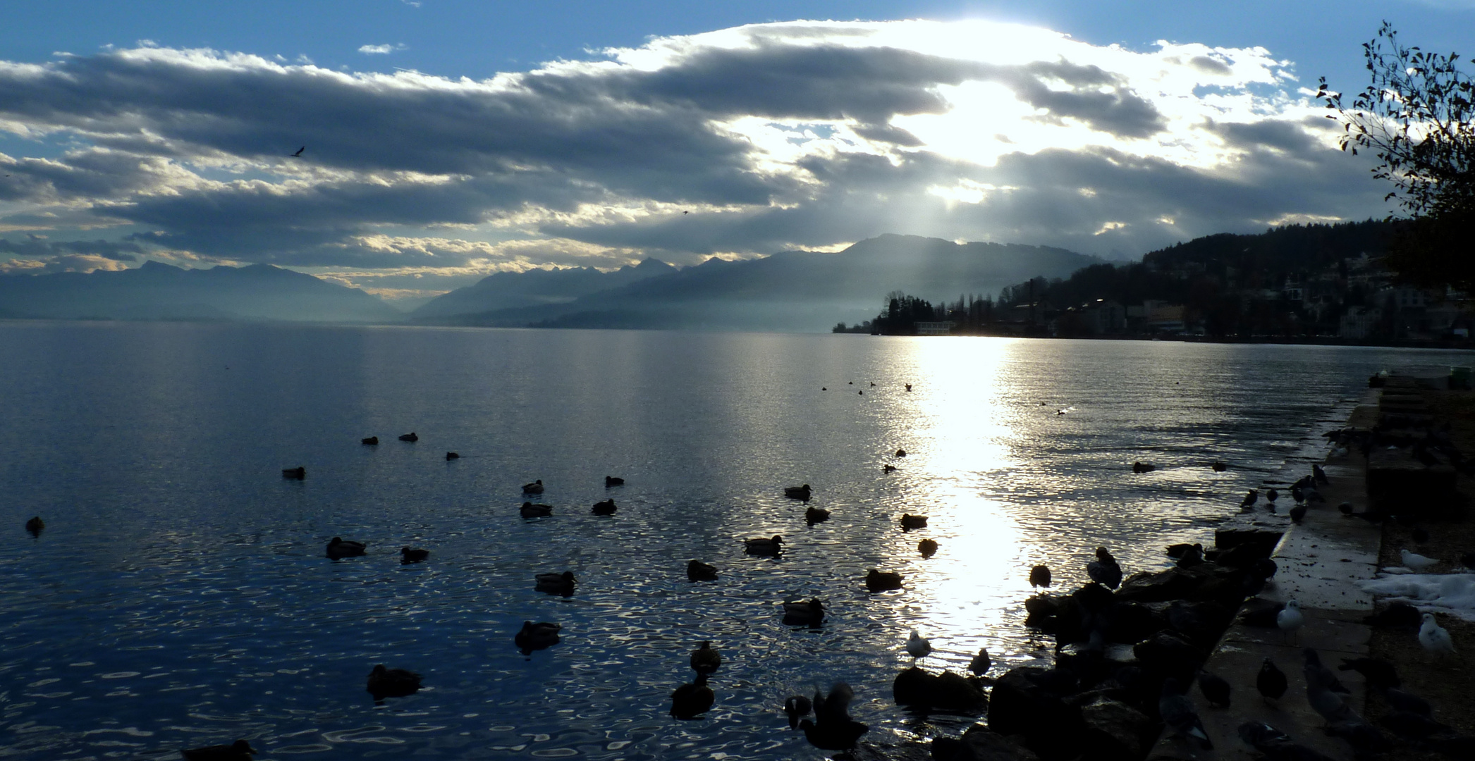 Lac de Zurich / Lago de Zurich / Zürichsee