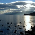 Lac de Zurich / Lago de Zurich / Zürichsee