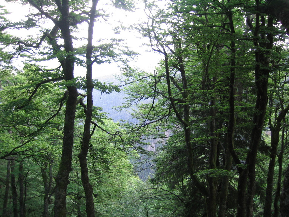 Lac des corbeaux