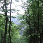 Lac des corbeaux