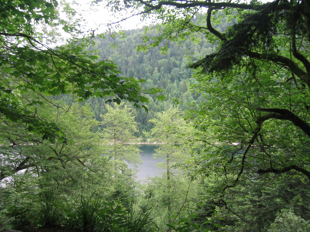 Lac des corbeaux, vue du chemin de randonnée