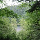 Lac des corbeaux, vue du chemin de randonnée