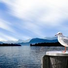 Lac des Quatre-Cantons - Vierwaldstättersee