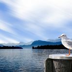 Lac des Quatre-Cantons - Vierwaldstättersee