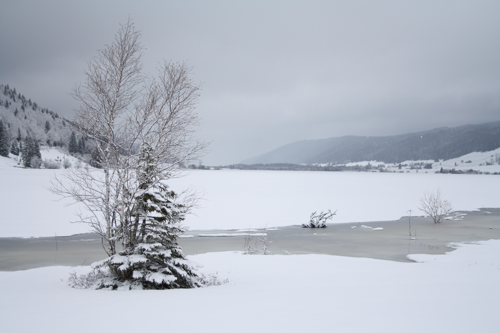 lac des ROUSSES 2 (39)