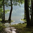 Lac des Vosges