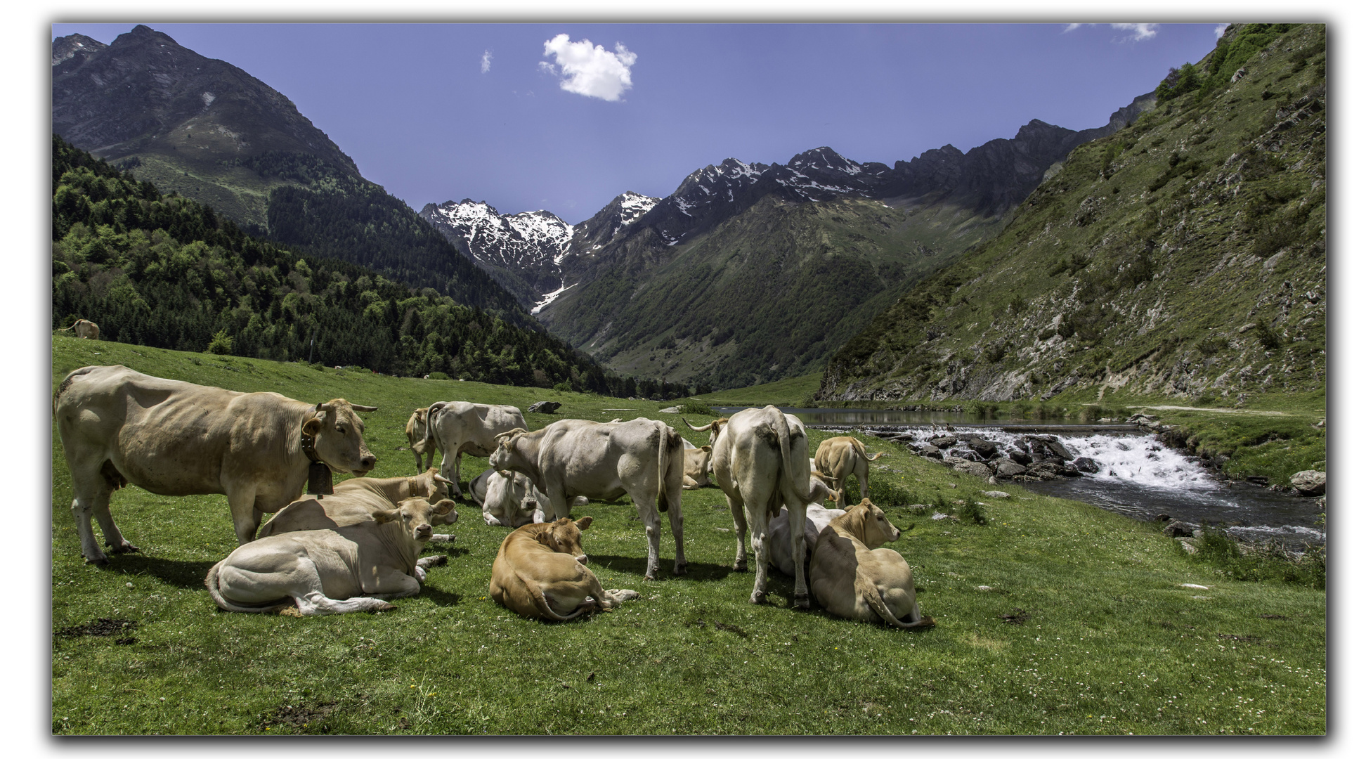 lac d'Estaing