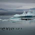 Lac d'Iceberg