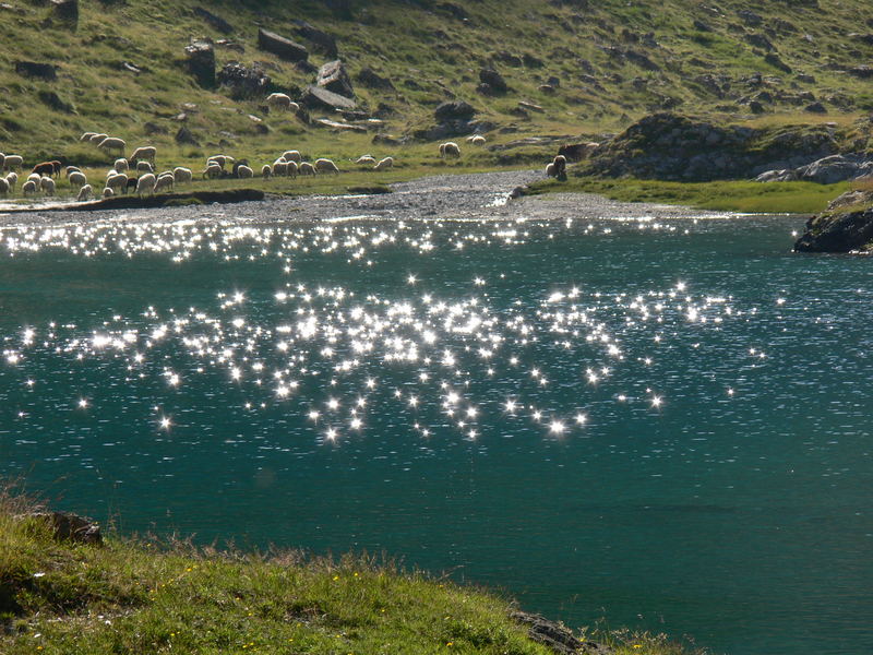 Lac d'Oussoue 0707