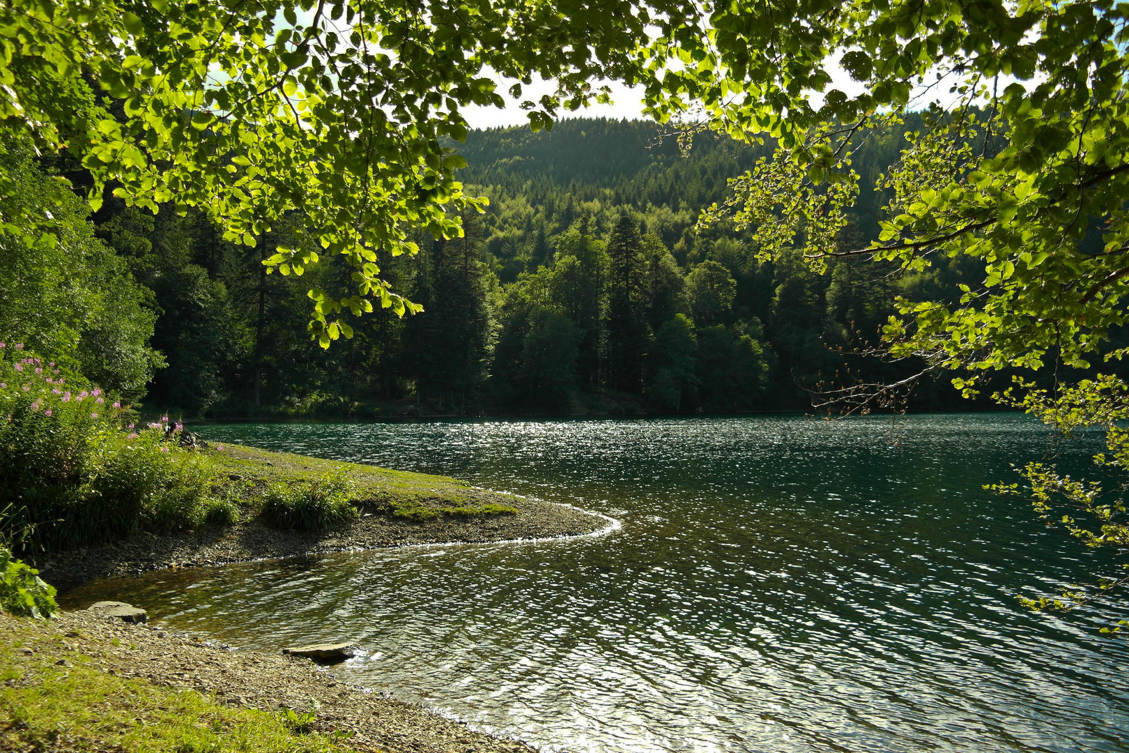 Lac du Ballon