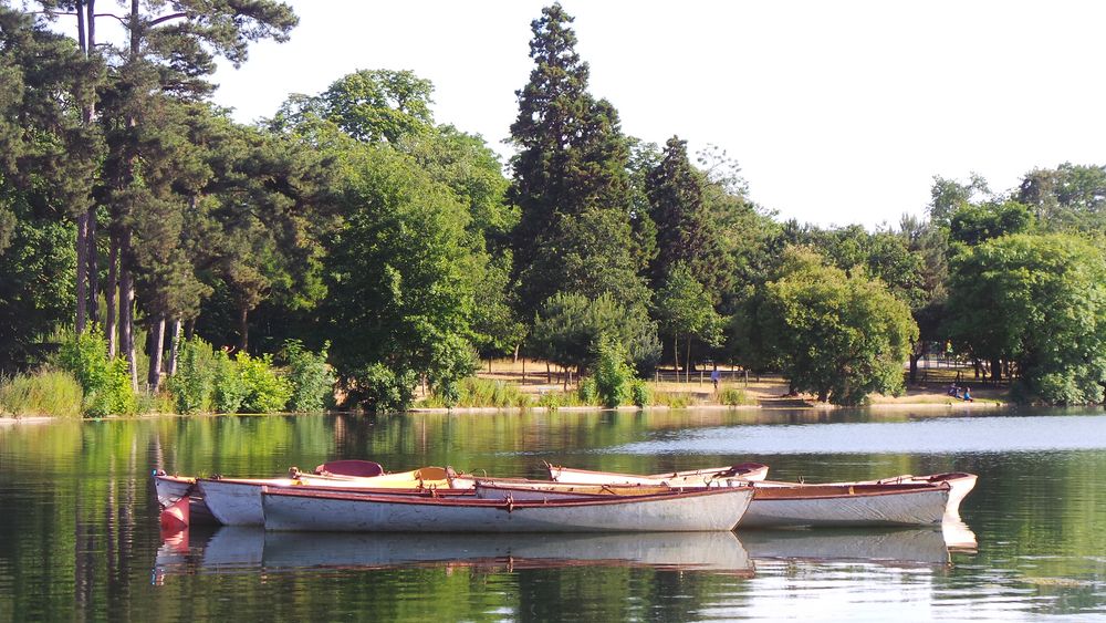 lac du bois de Boulogne photo et image paysages, lacs, rivières, cascades, nature Images