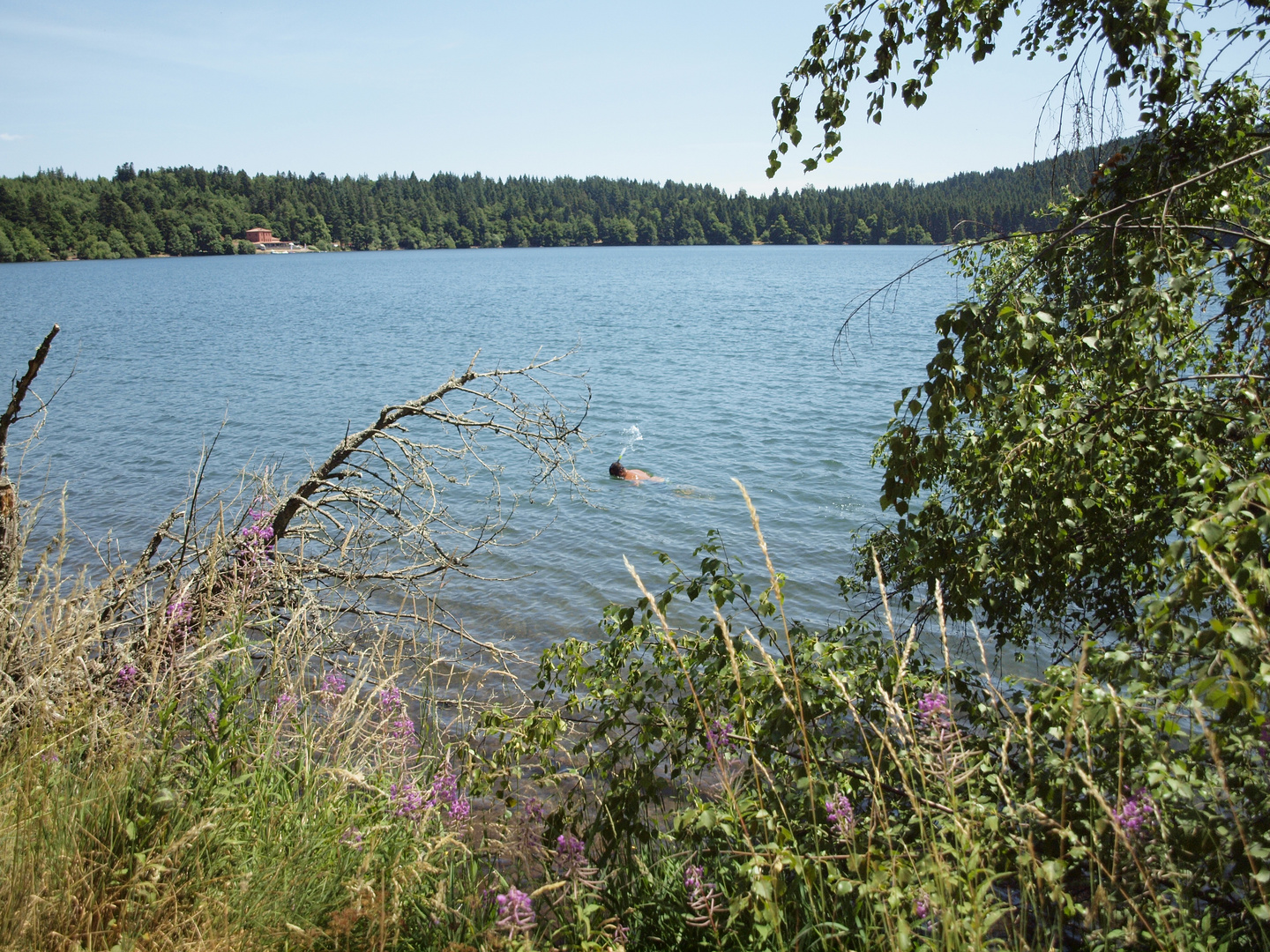 lac du bouchet (43) 2015-07-16