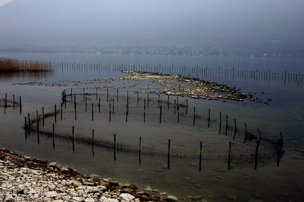 lac du Bourget 17