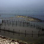 lac du Bourget 17